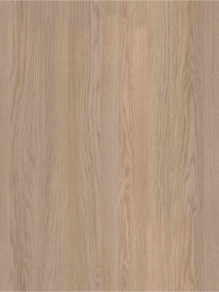 DESERT OAK
