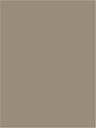 STONE WASH
