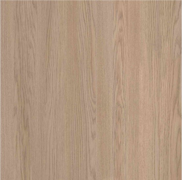 DESERT OAK