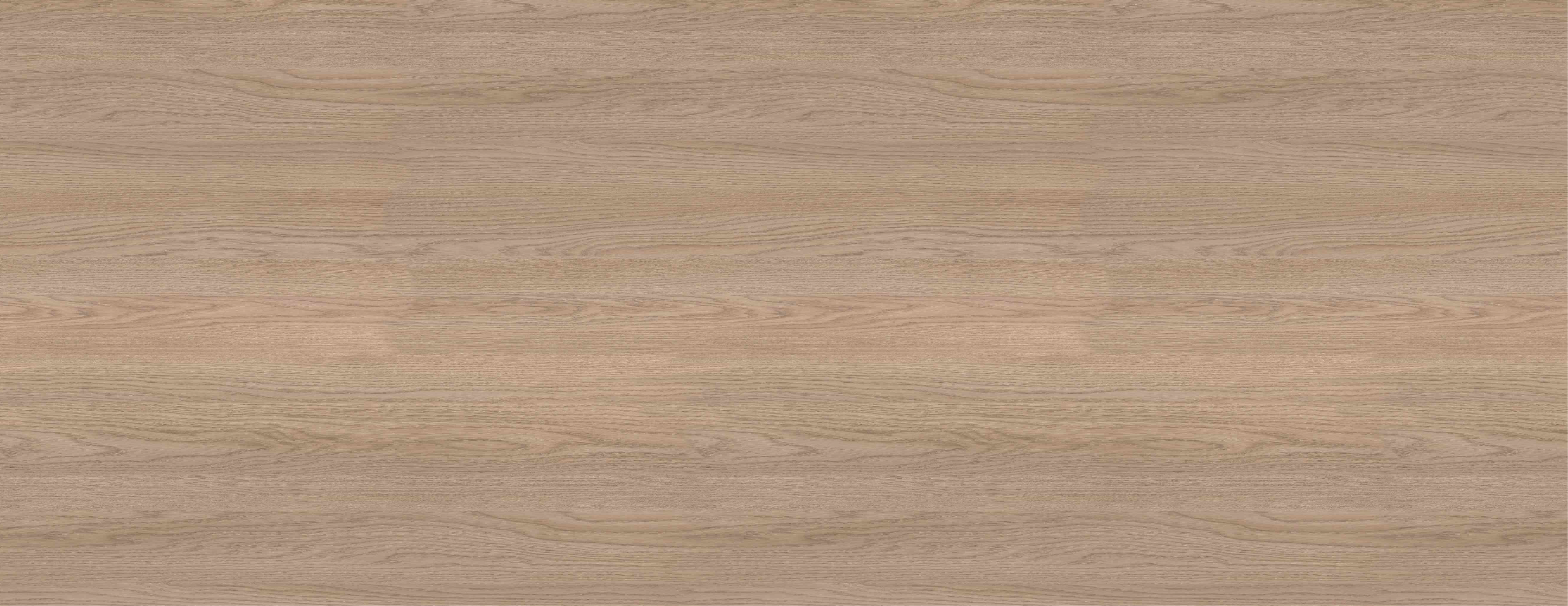 DESERT OAK