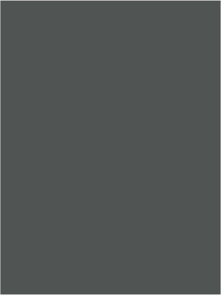 SMOKED SLATE