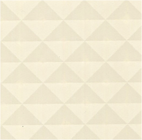 POLAR PRISM