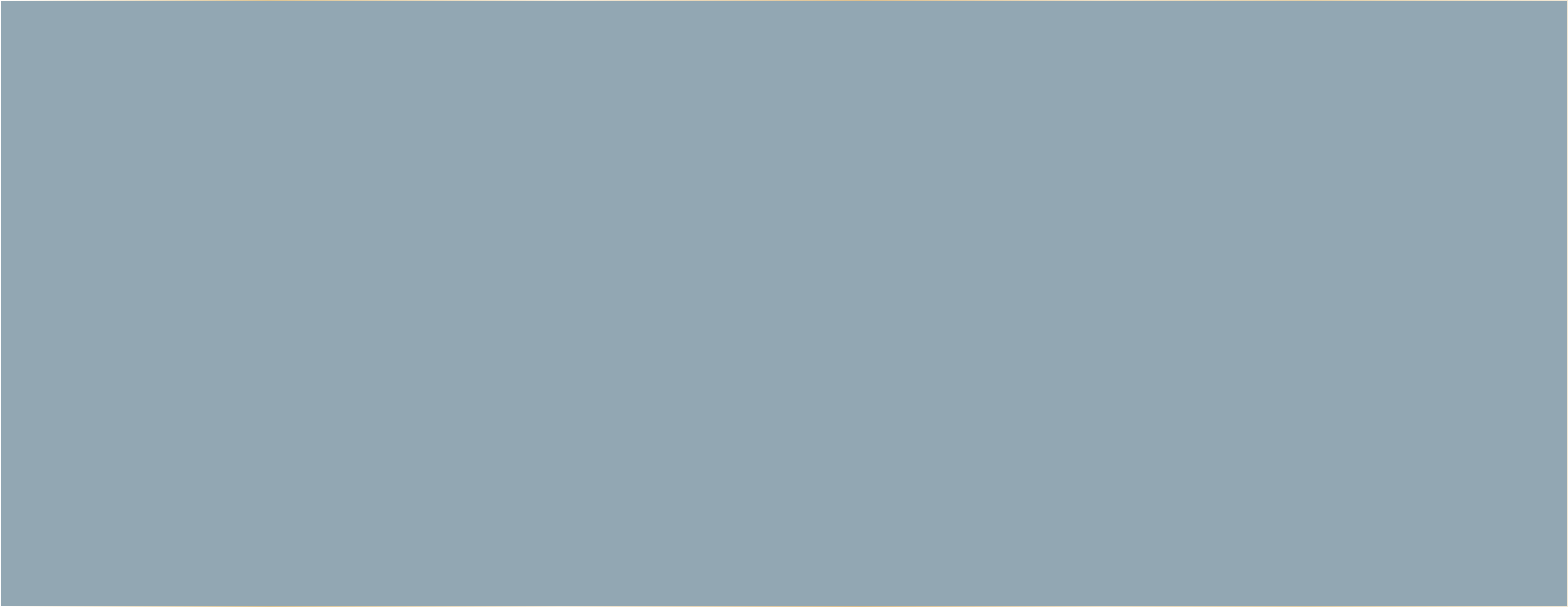 OCEAN DS111