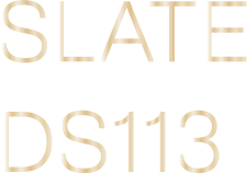 SLATE DS113